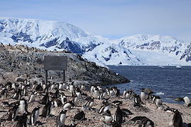 link to antarctica page